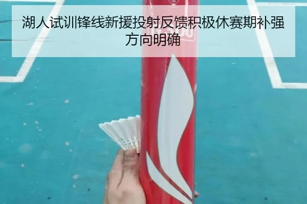 湖人试训锋线新援投射反馈积极休赛期补强方向明确